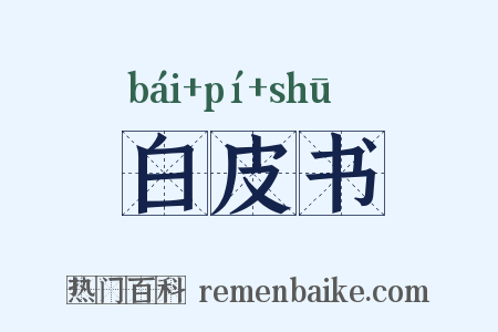 白皮书是什么意思的图片